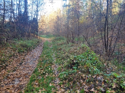 Działka na sprzedaż, Tomaszowski, Tomaszów Mazowiecki