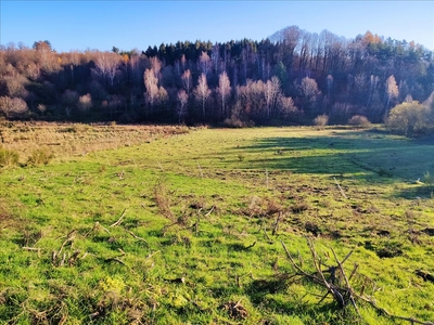 Działka na sprzedaż, Wejherowski, Zbychowo