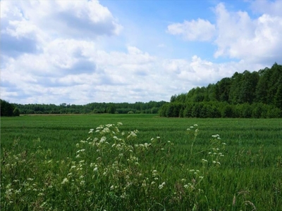 Działka na sprzedaż, Węgorzewski, Pozezdrze gm, Harsz