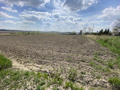 Działka na sprzedaż, Ząbkowicki, Ziębice gm, Kalinowice Górne