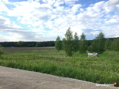 Działka Obrowo 1053m2 pod zabudowę jednorodzinną - Lasy