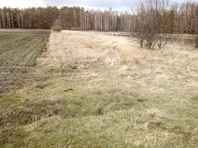 DZIAŁKA ROLNA, INWESTYCYJNA. CZEREMCHA-WIEŚ.