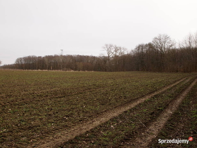 działka siedliskowa -rolna nad morzem