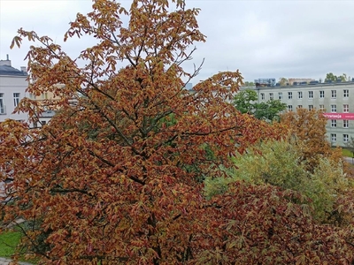 Mieszkanie na wynajem, Łódź, Śródmieście, Więckowskiego