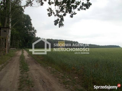 Oferta sprzedaży gruntu 41960m2