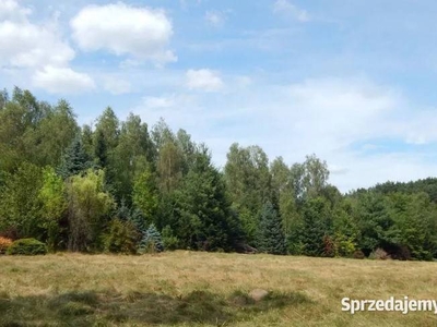 Piękna działka budowlana lub inwestycyjna na sprzedaż!