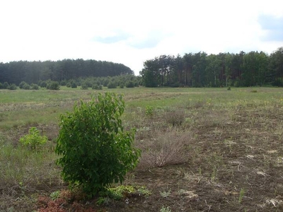 Sprzedam atrakcyjną działkę budowlaną Korwin gm. Słupca