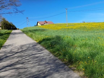 Sprzedam działkę Gumniska