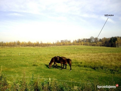 Sprzedam Działka Mazury 3009 m2. Złotna k/Morąga