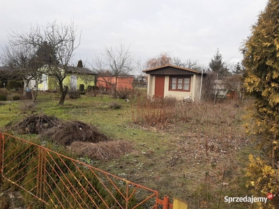 Sprzedam ogródek działkowy ROD Rawicz Złocień