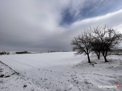 Sprzedam piękną działkę budowlaną 26,7 ar - CHARSZNICA