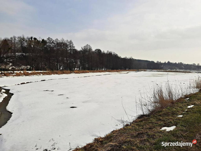 Staw rybny 2,50ha, Pilaszkowice, lubelskie