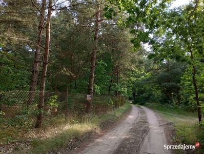 Ustawna działka 3000m w otulinie lasu Rasztów, Radzymin