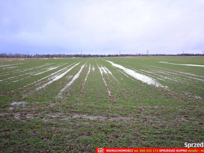 Wierciszów, działka budowlana MN, media.