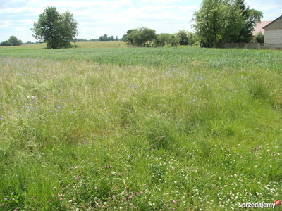 Ziemia na KRUS dla nierolnika, działki W.Z.budowlane- leśne