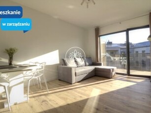 Apartament Toruń