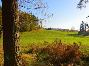 Działka 6069 m2. Prywatny las 5012 m2. Grunt pod zabudowę 1057 m2.