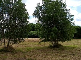 Działka budowlana Rusiec