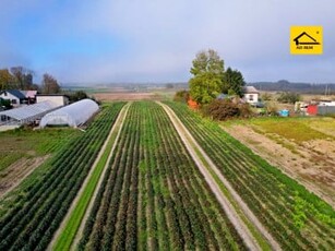 Działka budowlana Zezulin Niższy