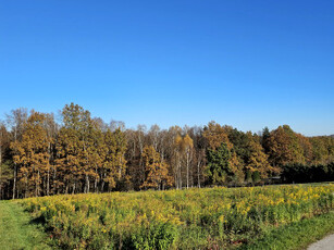 Działka rolno-budowlana Głogoczów