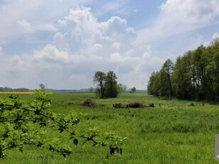 Działka rolno-budowlana Gryfice