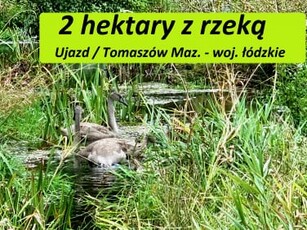 Działka rolno-budowlana Ujazd