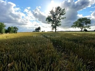 Działka Siemidarżno