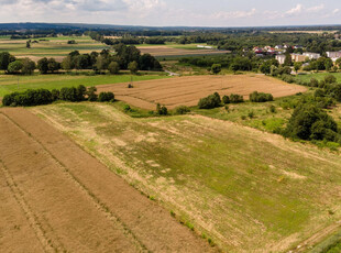 Lidzbarski, Orneta