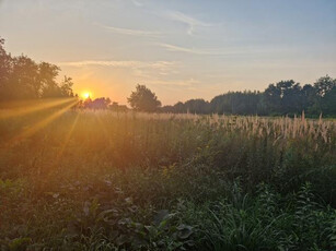 Wołomiński, Wołomin, Zagościniec, Tramwajowa