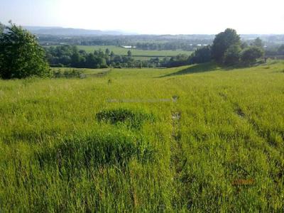 Działka budowlana Witanowice gm. Tomice