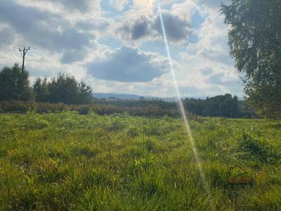 Działka siedliskowa Barwałd Średni gm. Kalwaria Zebrzydowska