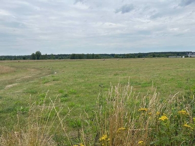 Działka budowlana Czosnów, ul. Polna