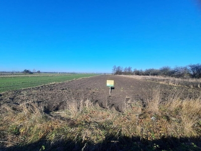 Działka budowlana Dąbie, ul. Łęczycka