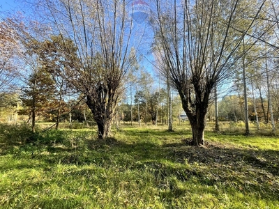 Działka budowlana Jaktorów, ul. Karliczka