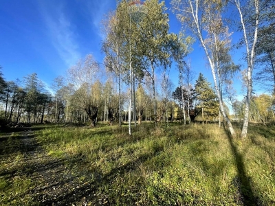 Działka budowlana Jaktorów, ul. Karliczka