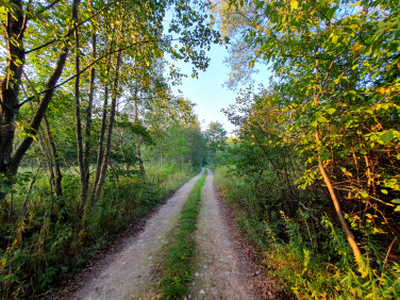 Działka budowlana, ul. Kącka