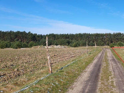 Działka inna Trachy, ul. Wolności