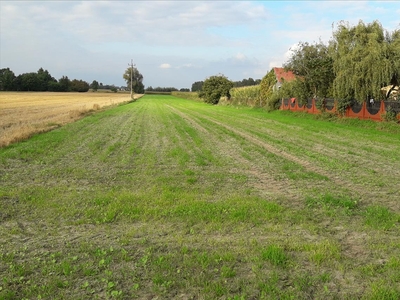 Działka na sprzedaż, Grodziski, Cegłów