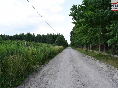 Działka leśna Pieńki Zarębskie