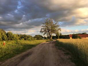 Działka budowlana 1343 m2 - Nowe Grabie k. Płocka