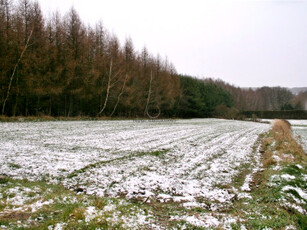 Działka budowlana, ul. Chabrowa