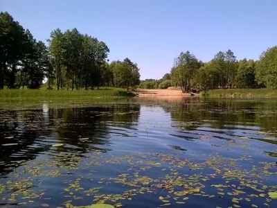 50% udziałów w jeziorze Chojniczka(pow.12,1ha) okazyjnie sprzedam