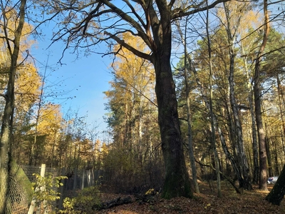 Działka 2185m2 Pruszaków, ul. Szymanowskiego