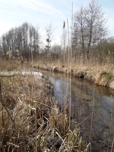 Działka 2,68Ha z lasem i rzeką Jęcznik Mazury