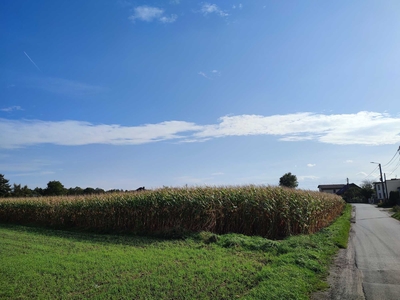 Działka 4000 m2, Studzienice- możliwość uzyskania WZ