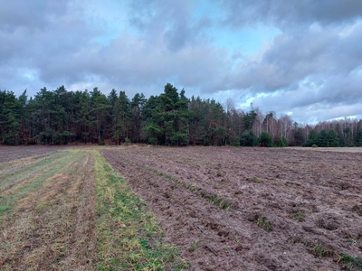 Działka 6000m2 Trzcianka gm. Wilga blisko Garwolin