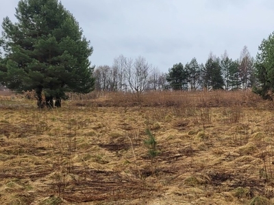 Działka budowlana Ostrężnica