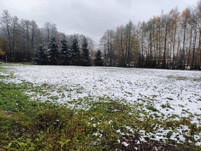 Działka budowlano- usługowa Radawiec Duży