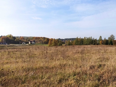 Działka Chraboły, gm. Dobrzyniewo Duże, powiat białostocki