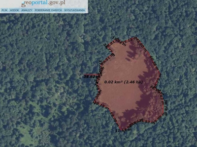 Działka polana w lesie, grunty rolne, 2,5HA - widok lokalizacja